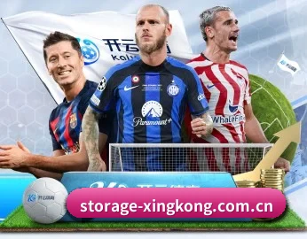 平台简介 - 体育资讯内容服务(xingkongtiyu)